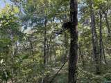 20.5 ac County Road 491 - Photo 18