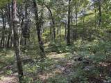20.5 ac County Road 491 - Photo 19