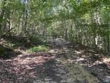 20.5 ac County Road 491 - Photo 2