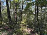 20.5 ac County Road 491 - Photo 20
