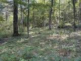 20.5 ac County Road 491 - Photo 21