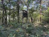 20.5 ac County Road 491 - Photo 22