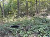 20.5 ac County Road 491 - Photo 23