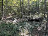 20.5 ac County Road 491 - Photo 24