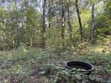 20.5 ac County Road 491 - Photo 25