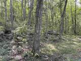 20.5 ac County Road 491 - Photo 26