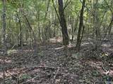 20.5 ac County Road 491 - Photo 27