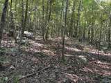 20.5 ac County Road 491 - Photo 28