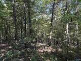 20.5 ac County Road 491 - Photo 29