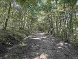 20.5 ac County Road 491 - Photo 3