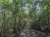 20.5 ac County Road 491 - Photo 30