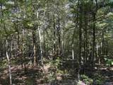 20.5 ac County Road 491 - Photo 31