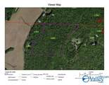 20.5 ac County Road 491 - Photo 32