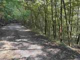 20.5 ac County Road 491 - Photo 4