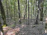 20.5 ac County Road 491 - Photo 6