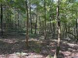 20.5 ac County Road 491 - Photo 8