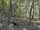 20.5 ac County Road 491 - Photo 9