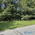 Lot 11 Dry Creek Road - Photo 1