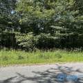 Lot 11 Dry Creek Road - Photo 2