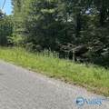 Lot 11 Dry Creek Road - Photo 3