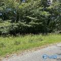 Lot 11 Dry Creek Road - Photo 5