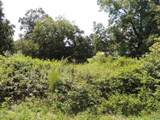 .51 Gaines Street - Photo 5