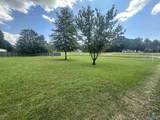 3535 Lookout Street - Photo 3