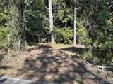35 ACRES Pine Ridge Road - Photo 6
