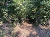 35 ACRES Pine Ridge Road - Photo 7