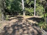 35 ACRES Pine Ridge Road - Photo 8