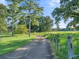 274 County Road 337 - Photo 2