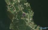 Lot 171 County Road 1011 - Photo 10