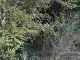 8 ACRES County Road 1196 - Photo 1