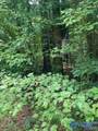8 ACRES County Road 1196 - Photo 2