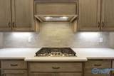 12404 Narayan Street - Photo 12