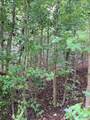 1930 Lookout Mountain Drive - Photo 2