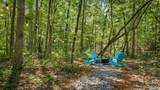 4955 County Road 106 - Photo 7