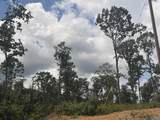 Lot 10 County Road 641 - Photo 1