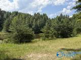 152 County Road 971 - Photo 14