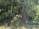 152 County Road 971 - Photo 17