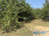 152 County Road 971 - Photo 2