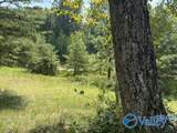 152 County Road 971 - Photo 23
