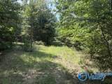152 County Road 971 - Photo 8