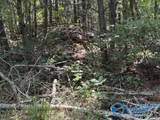 152 County Road 971 - Photo 9