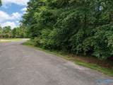 Lot 10 County Road 479 - Photo 13