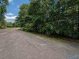 Lot 10 County Road 479 - Photo 14