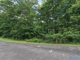 Lot 10 County Road 479 - Photo 15