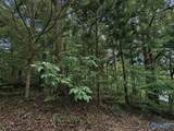 Lot 10 County Road 479 - Photo 16