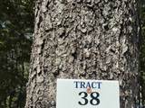 Lot 38 County Road 450 - Photo 4