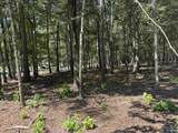 Lot 38 County Road 450 - Photo 7